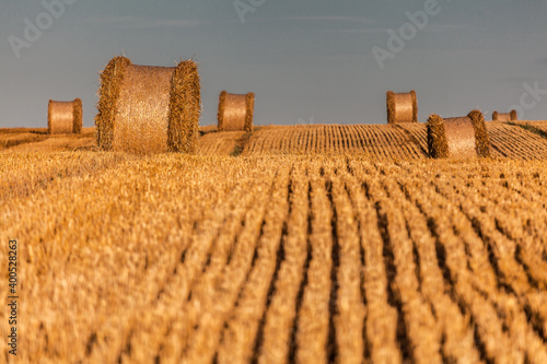 Fototapeta Naklejka Na Ścianę i Meble -  View of the Masurian fields.