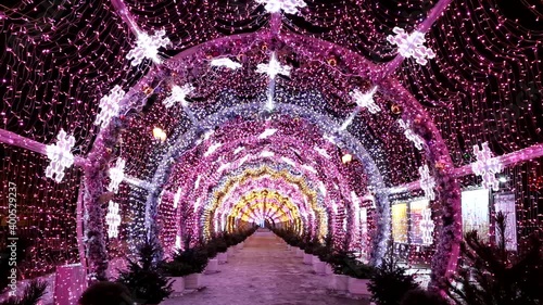 International festival 