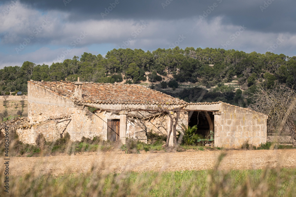 rural field, Sineu, Mallorca, Balearic Islands, Spain