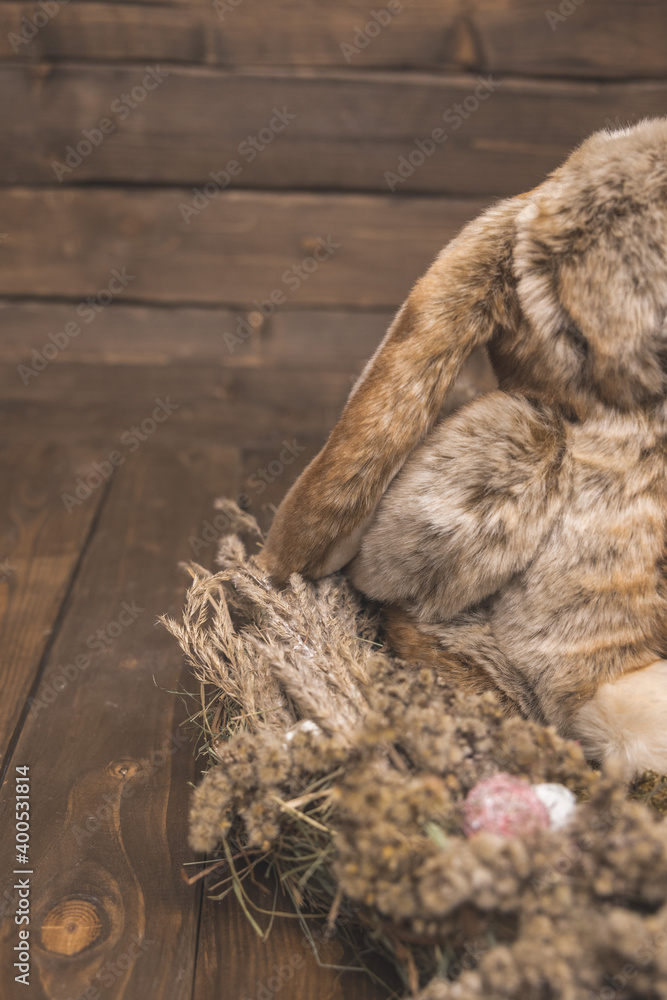 nest of flowers with a rabbit on wooden background nest of flowers with a rabbit on wooden background