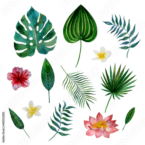 Watercolor tropical templates