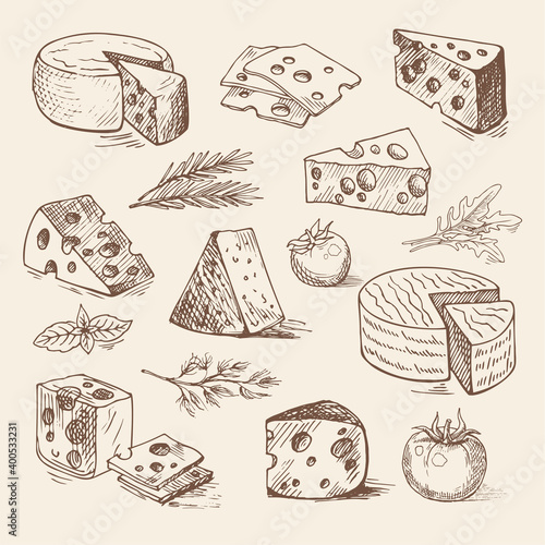 Hand drawn pieces of cheese, tomatoes, greens. Vector sketch, organic food illustration