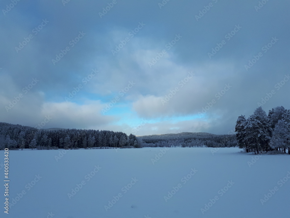 Fototapeta premium landscape with a view of snow-covered trees - Oslo