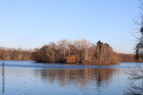 Insel im Unterbacher See im Winter