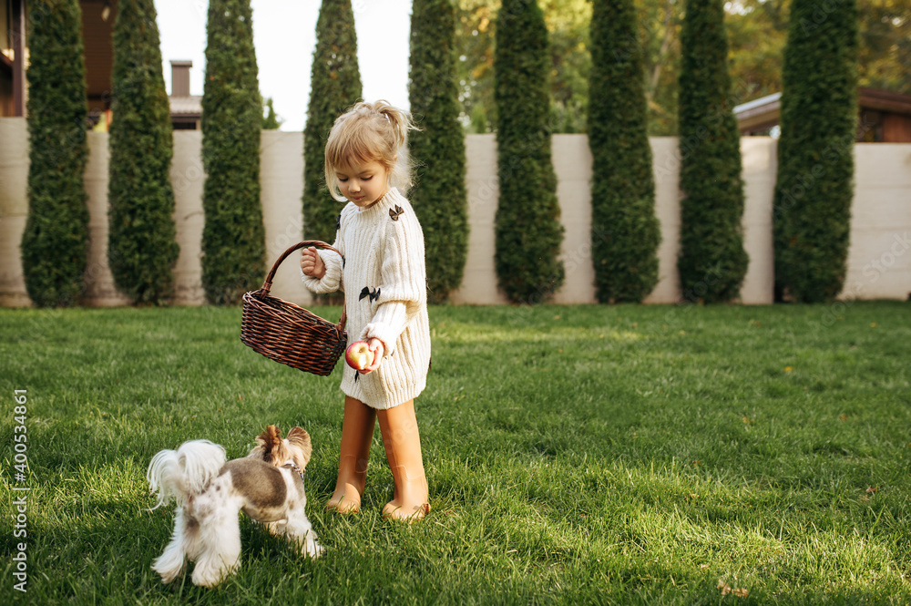 Kid with basket play with funny dog in the garden Kid with basket play with funny dog in the garden