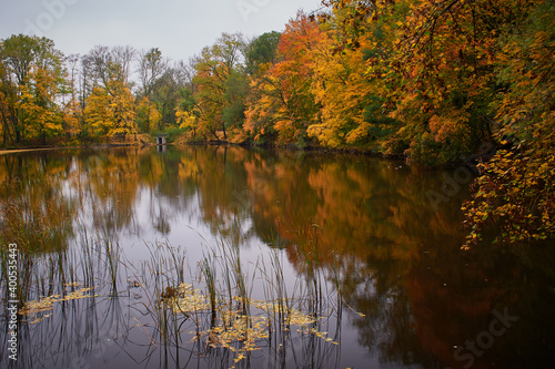 Carpathian forest in autumn seasone, Bratislava, Slovakia, Europe