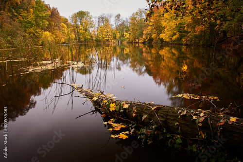 Photography Carpathian forest in autumn seasone, Bratislava, Slovakia, Europe