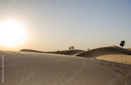 Desert Sand Curves