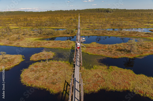 Wonderful overlooking view of bog lakes and wooden board walk through swampland. Visit Estonia concept.