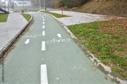 New green asphalt bike path in the city for active movement