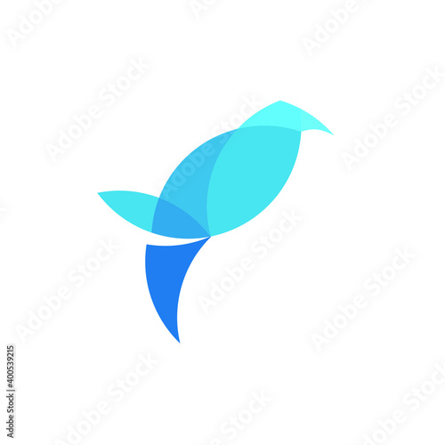 Bird Logo Design 