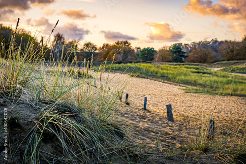 horizontal sundown scenery in the dunes of hamburg nature reserve called boberger niederung with dune grass in the front of sand dunes.