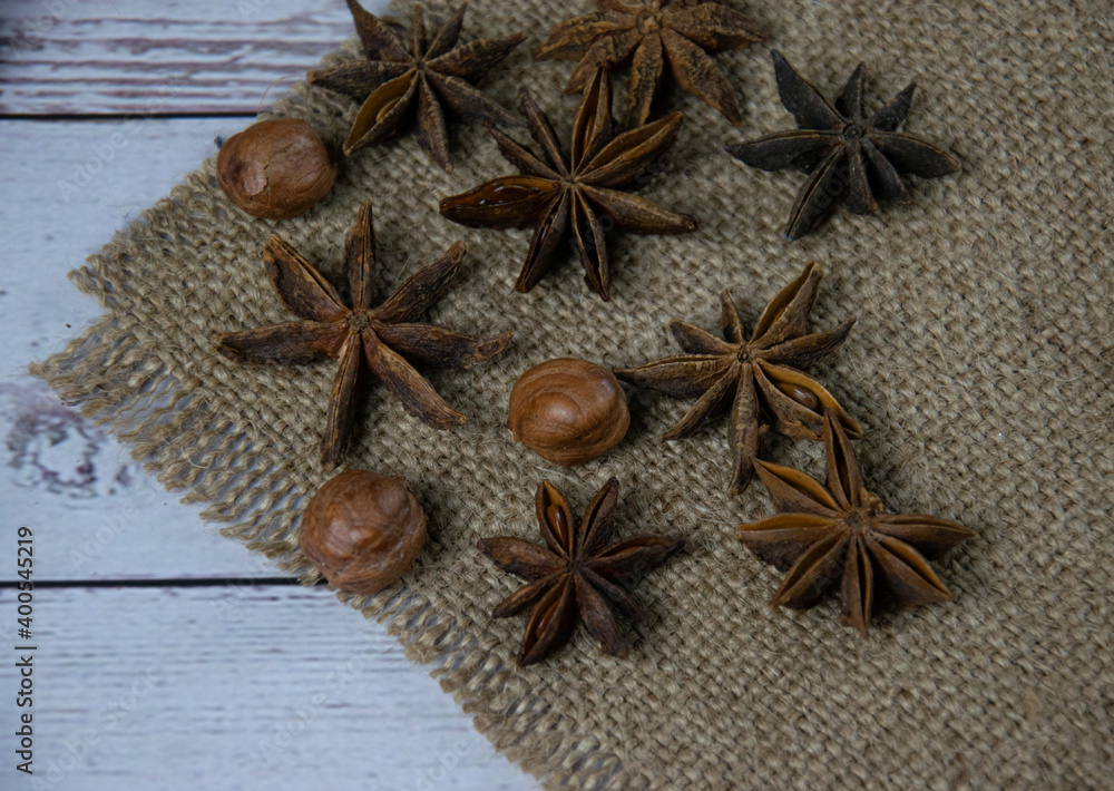 Cinnamon, star anise and cloves scattered on a gray background