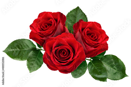 Fototapeta Naklejka Na Ścianę i Meble -  red rose isolated on white background, clipping path, full depth of field