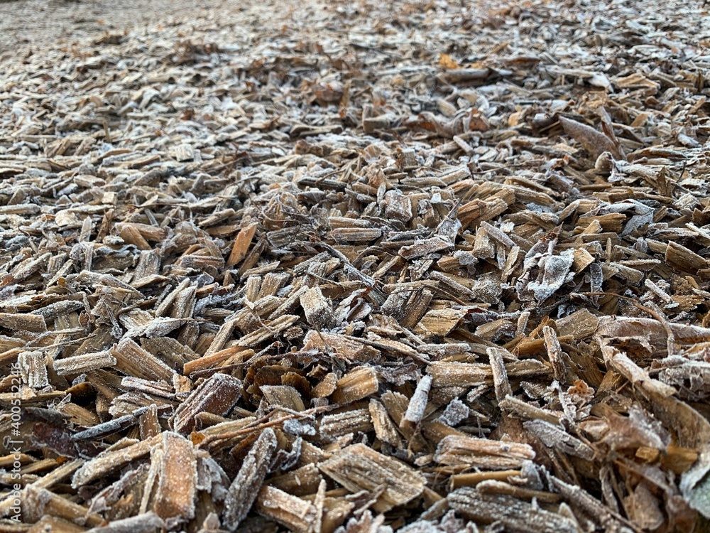pile of dried fish
