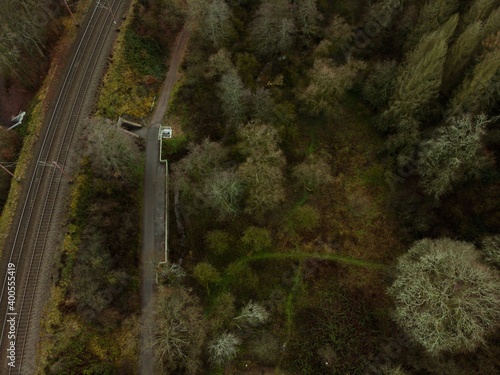 Wild path near the railway