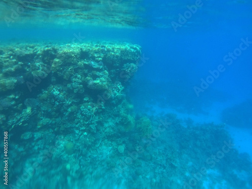 Tropical coral reef. Ecosystem and environment. Egypt. Near Sharm El Sheikh