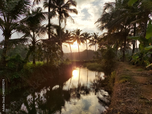 sunset and coconut trees near a small clam river photo