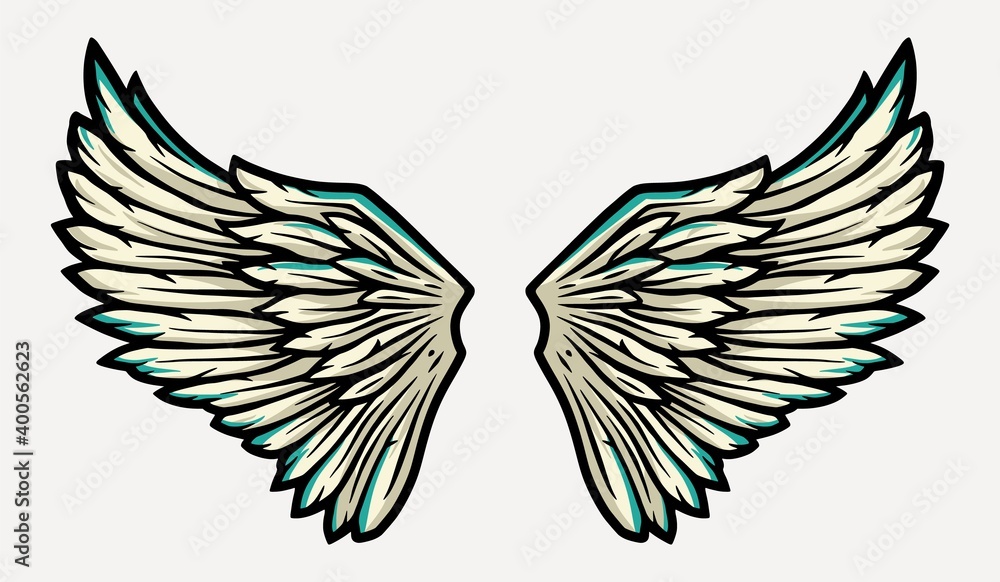 Pair of bird wings with feathers for design Pair of bird wings with feathers for design