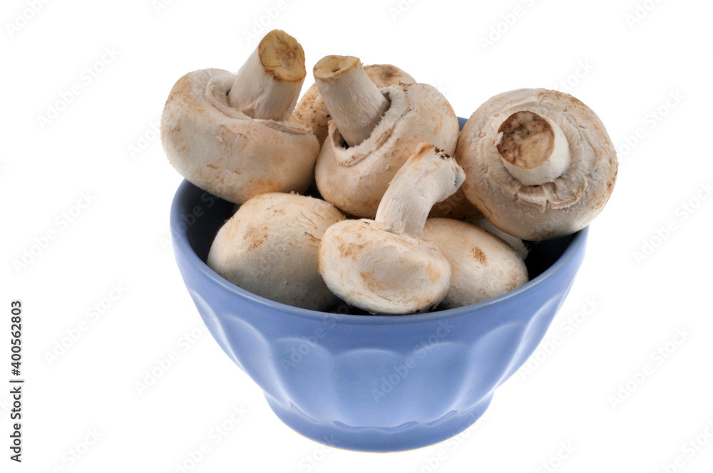 Bol de champignons crus en gros plan sur fond blanc Bol de champignons crus en gros plan sur fond blanc