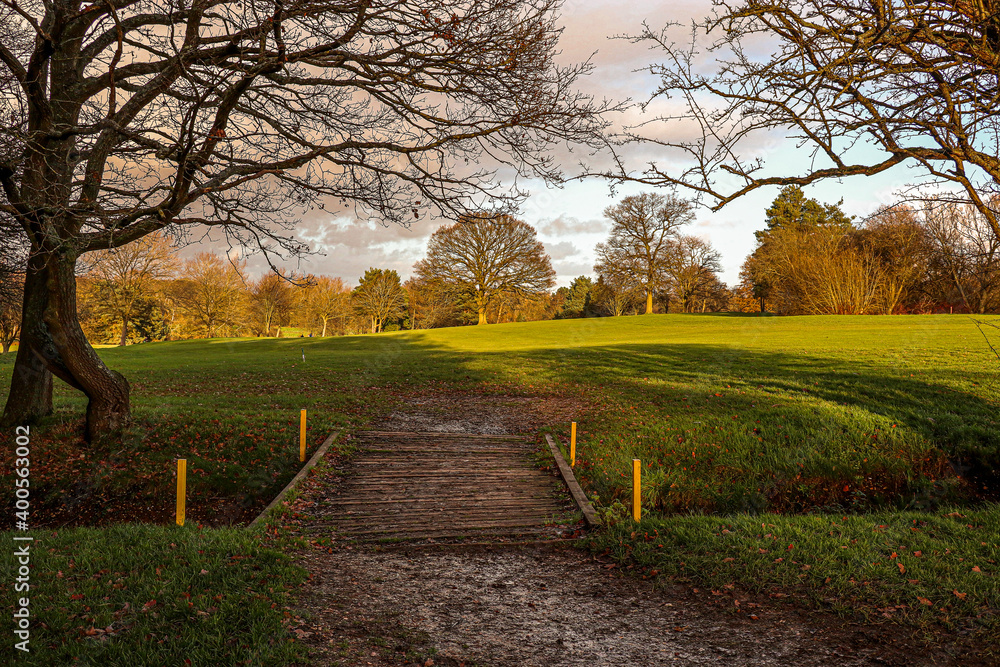 custom made wallpaper toronto digitalA park in Radlett, on the outskirt of London UK.