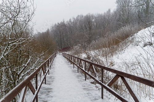 Winter landscape with a footbridge at the bottom of the ravine. © Sergey Rybin