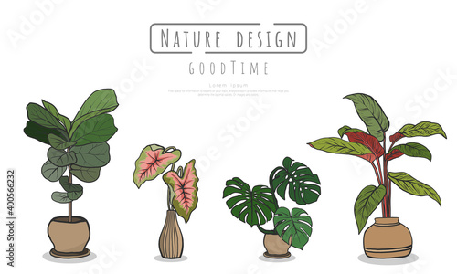 Potted plants Set, Indoor and outdoor landscape garden potted plants isolated on white, Vector set green plant in the pot.