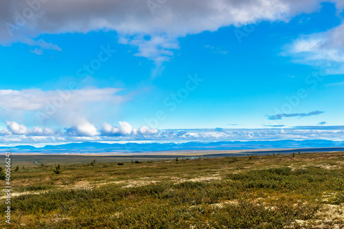 northern tundra and the mountain range on a summer day