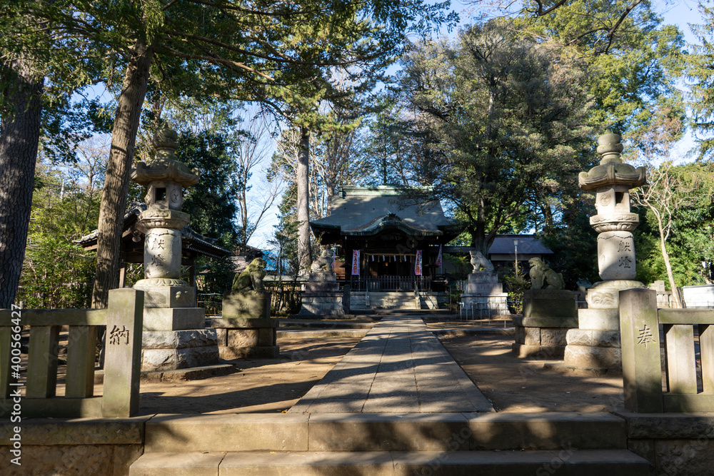 東京都杉並区和泉）和泉熊野神社の本殿と狛犬