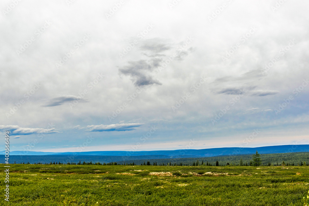 northern tundra and taiga in the distance on a summer day