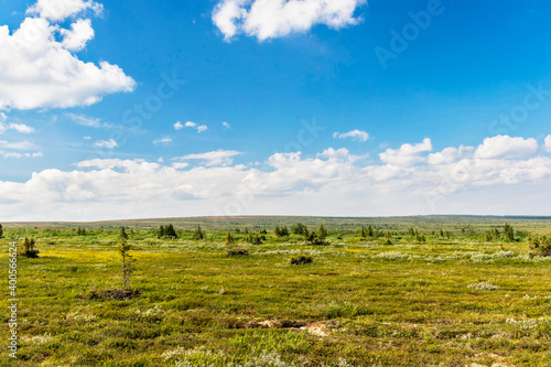 northern tundra and sky with clouds on a summer day