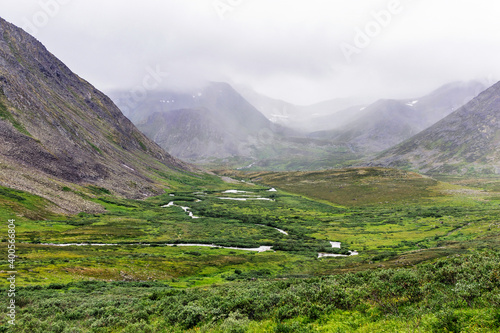 stream in the northern mountain valley on a summer day