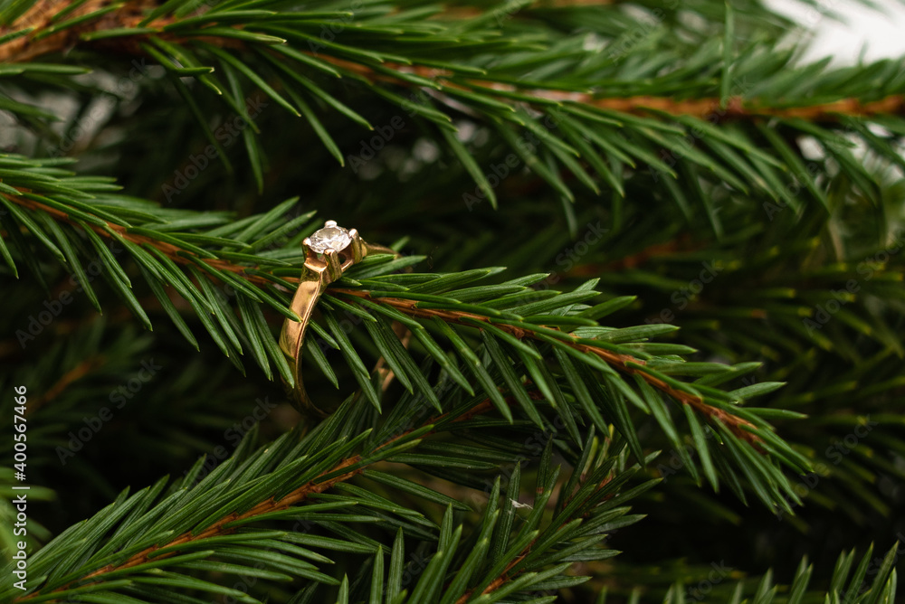 Fototapeta premium Gold engagement ring worn on a spruce branch