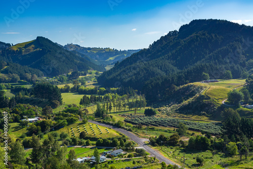 Rural hill country in the Bay of Plenty, New Zealand, with pine trees growing on two small mountains