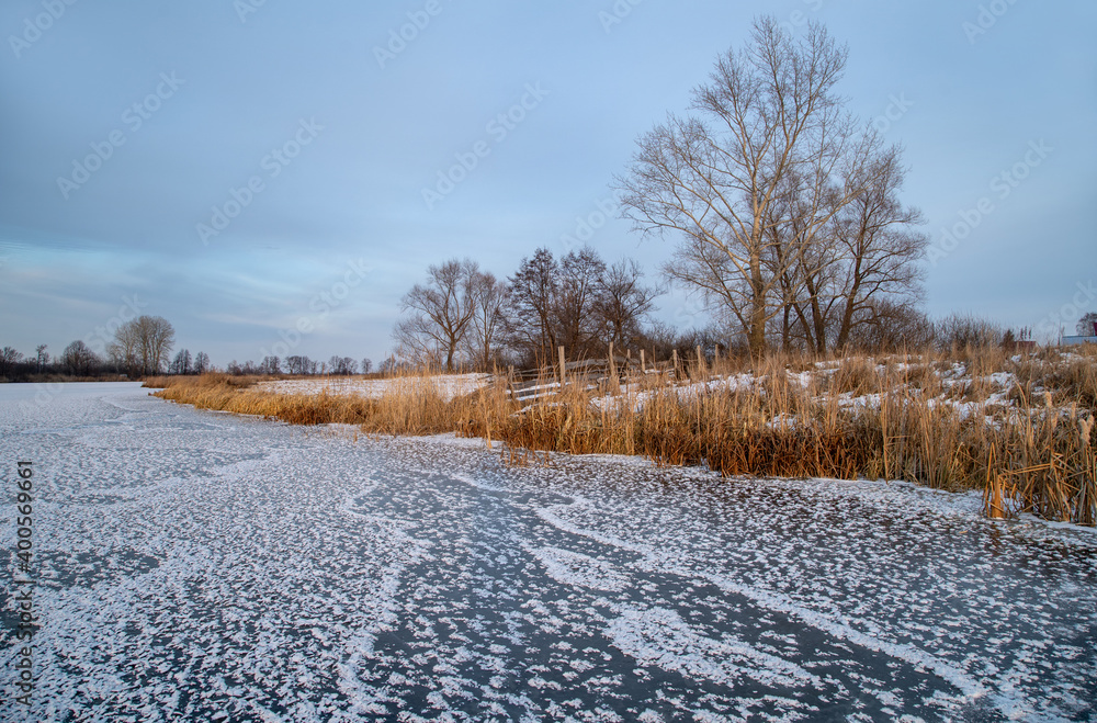 Transparent ice on the lake with snowflakes in the form of stars. On the shore there is yellow frozen grass.