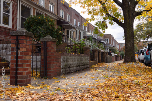 Canvas Print Row of Old Brick Homes along an Empty Sidewalk with Colorful Trees and Leaves du