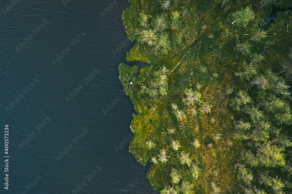 Coastline view from the drone, green forest on the coast