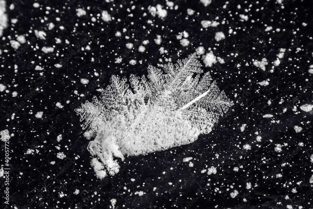 beautiful crystals of frozen water formed on the ice of the lake after a severe frost beautiful crystals of frozen water formed on the ice of the lake after a severe frost