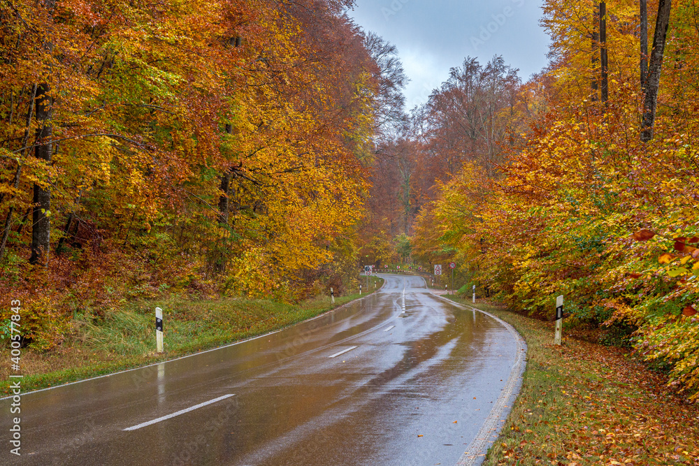 Landstraße bei Regen durch einen Wald im Herbst, Oberbayern, Bayern, Deutschland, Europa.