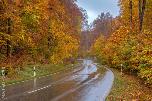 Landstraße bei Regen durch einen Wald im Herbst, Oberbayern, Bayern, Deutschland, Europa.