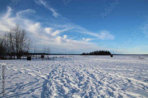 Winter Sunshine, Elk Island National Park, Alberta © Michael Mamoon