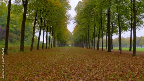 Avenue in autumn, Bavaria, Germany photo