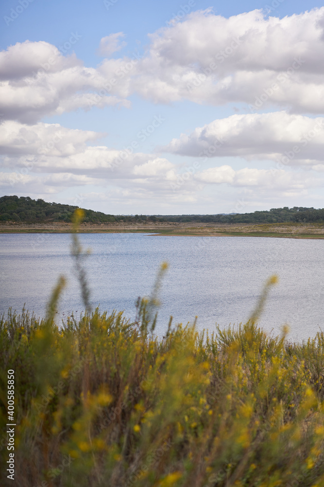 Nature landscape of Minutos Dam reservoir lake with yellow flowers on a sunny day in Alentejo, Portugal