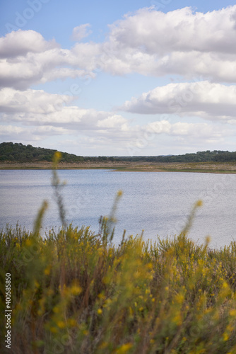 Nature landscape of Minutos Dam reservoir lake with yellow flowers on a sunny day in Alentejo, Portugal