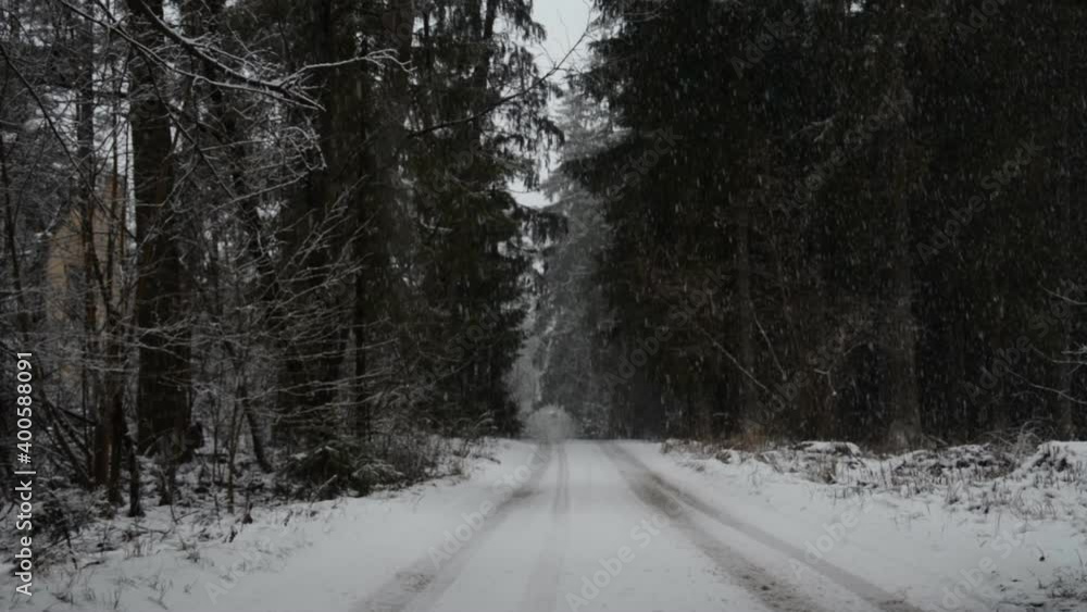 Forest winter road background abstract Forest winter road background abstract