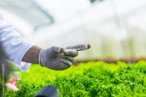 Scientists test the solution, Chemical inspection, Check freshness at organic, hydroponic farm.