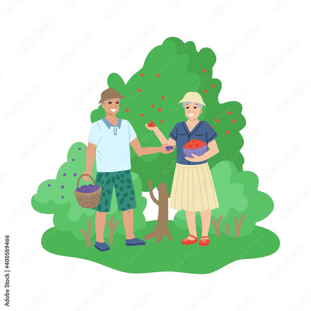 Retired old people, hobbies and activities, picking berries in the garden, walking in nature. Vector cartoon illustration Retired old people, hobbies and activities, picking berries in the garden, walking in nature. Vector cartoon illustration