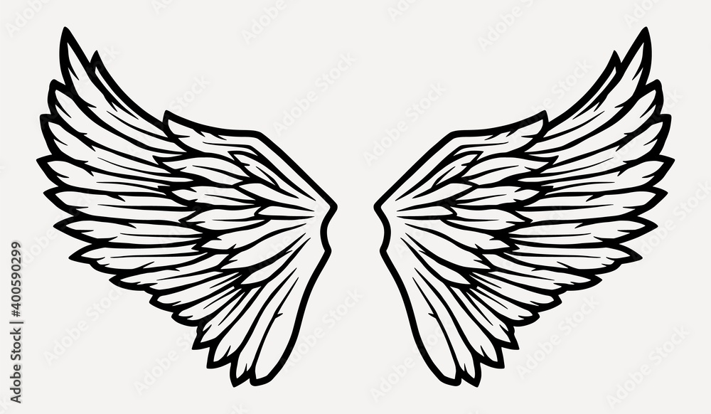 Obraz premium Pair of bird wings with feathers for design