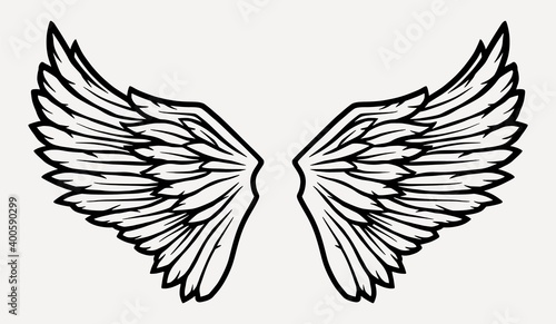 Pair of bird wings with feathers for design