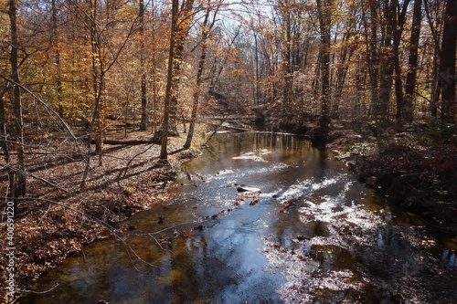 An autumn day by a quiet stream in Virginia